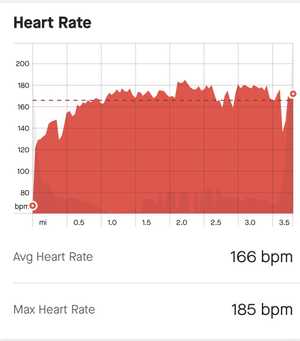 High Intensity Heart Rate Chart