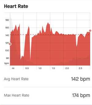 Low Intensity Heart Rate Chart